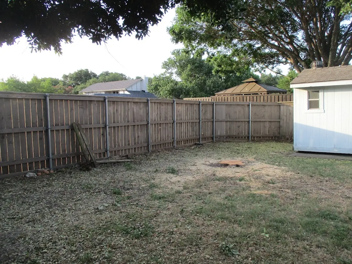 Cleared yard after professional tree removal in Lexington